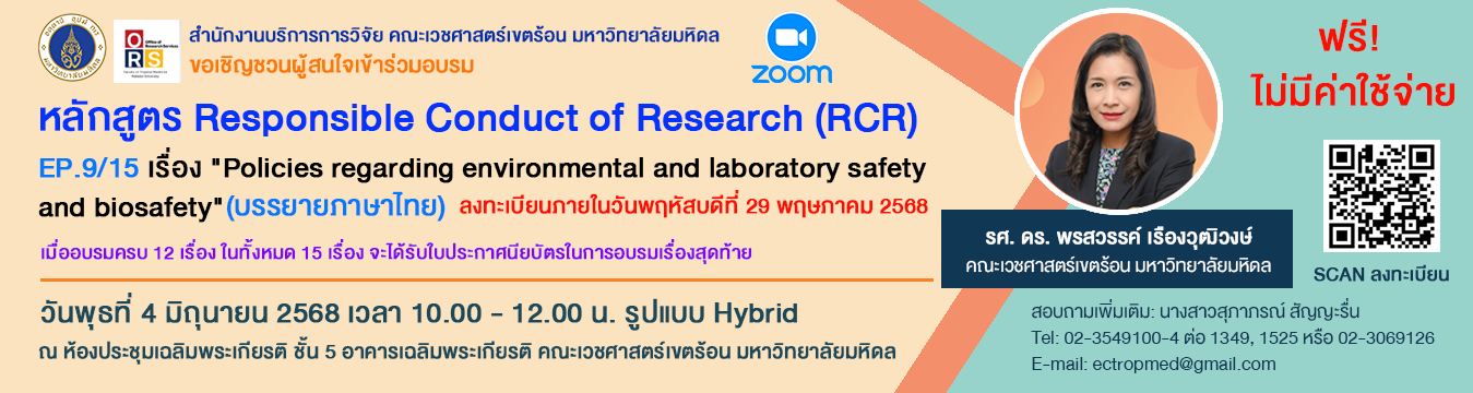 Second slide