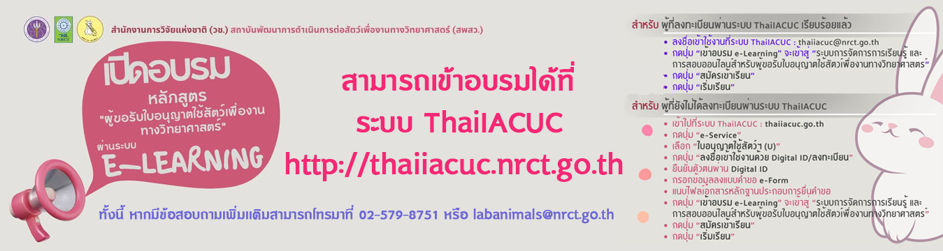 Third slide